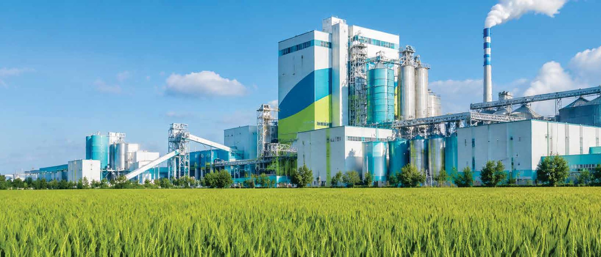 Tiryaki Corporate: agricultural processing plant above a wheat field